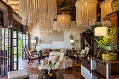 The Palms Lounge