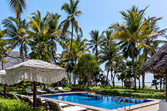The Palms Main Pool